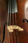 l'Ensemble
